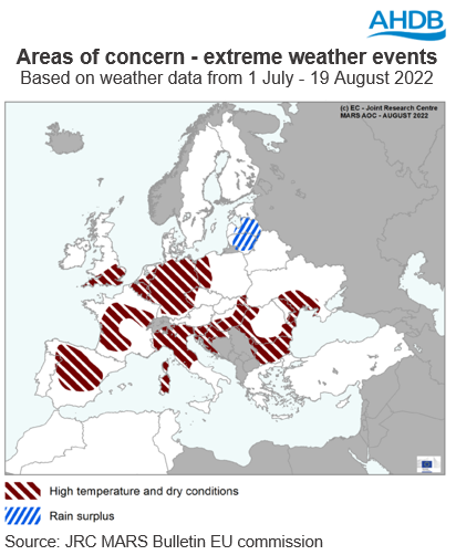 Map of Europe showing areas of concern from high temperature and dry conditions, and rain surplus